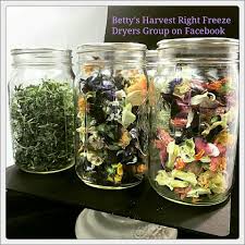 Freeze Dried Edible Flowers Harvest Right Freeze Dryer Freeze Drying Food Freeze Drying