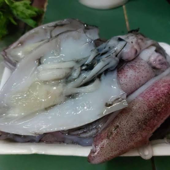 Cumi Bunga/Putih/Ungu (Bertelur)