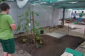Sie sind nach jetzigem kenntnisstand in ihrer durchführung nicht gefährdet. Bau Holz Farbtechnik Und Gartenbau Berufsschule Liferay
