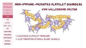 Image result for Platelet Dysfunction