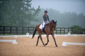 Thoroughbred Logic: All the Potential