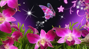 Download Flowers For Beautiful Flowers And Butterflies Wallpapers 3d Butterfly With Flower 1920x1080 Wallpaper Teahub Io