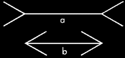 Image result for illusion pictures