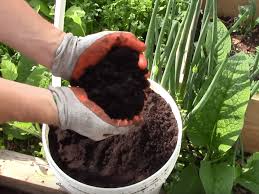 Comment utiliser le marc de café au jardin ? Jardinage 9 Utilisations Ingenieuses Du Marc De Cafe Au Jardin