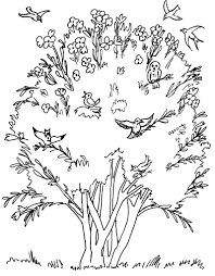 Parable Of The Mustard Seed Coloring Pages Mustard Seed Parable Tree Coloring Page Bird Coloring Pages