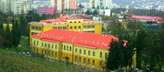 Facultatea de arte și design reprezintă astăzi cel mai important pivot al dinamicii educației, creației și cercetării câmpului artistic din partea de vest a tării, prin strategia proprie de dezvoltare ce vizează o curriculă actualizată constant, consonantă cu universitățile spațiului european. Faculty Of Horticulture Sestras