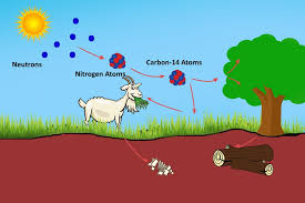 Dating is a new dating history of carbon has emerged as a. How Carbon Dating Works