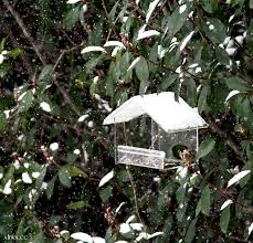 كيف أواسي في العزاء مدونة أروى