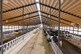 Best Barndominium Floor Plans For Planning Your Barndominium House Ahir Planlari Evcil Hayvan Bakimi Ciftlikler