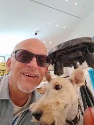 Should I buy a 2004 Jaguar X-Type 2.0 SE with 211k miles?