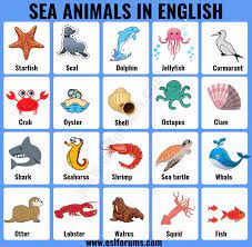 Browse 168,108 sea animals stock photos and images available, or start a new search to explore more stock photos and images. Sea Animals List Of 20 Interesting Sea Ocean Animals With The Picture Esl Forums Ocean Animals For Kids Sea Animals Ocean Animals