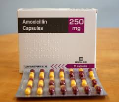 Image result for Amoxicillin