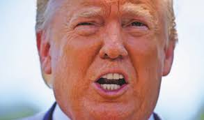 OPEN SEASON ON IGUANAS