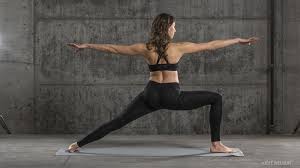 Upper thigh anatomy (page 1). Yoga Anatomy Hip Adductors Need To Know Work Your Inner Thighs