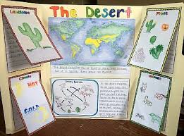 10 Ecosystem Project Ideas The Owl Teacher Ecosystems Projects Elementary Science Social Science Project