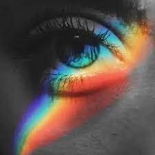 Die regenbogen ferienanlage in prerow bietet zahlreiche möglichkeiten, sich im urlaub zu erholen. Pin On Regenbogen Fotografie Portrat Hacks Mit Prisma Co