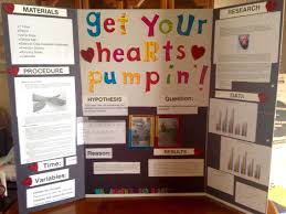 5th Grade Class Science Fair Project Checking Your Heart Rate During Different E Kids Science Fair Projects Science Fair Projects Science Fair Projects Boards
