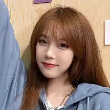 58 Pin 96 Pin 154 Pin Stecker Ecu Ecm Motor Kabelbaum