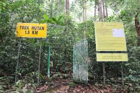 Läs recensioner av resenärer som du och se professionella bilder på sungai tua recreational forest i selangor, malaysia på tyvärr finns det inga rundturer eller aktiviteter att boka online för det/de datum du valt. Sungai Tekala Recreational Forest