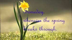 Image result for images Somewhere My Love
