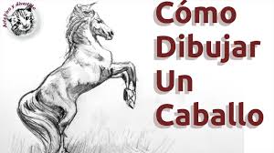 Como Dibujar Un Caballo Paso A Paso A Lapiz Como Dibujar Animales Youtube Clases de sombreado cómo dibujar sombras arte divierte youtube. como dibujar un caballo paso a paso a lapiz como dibujar animales