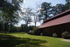 Florence, sc is one of those hidden gems within the world. Horse Boarding In Florence South Carolina Florence County