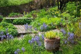 Carol Klein S Garden Glebe Cottage Natural Garden Garden Design Plants