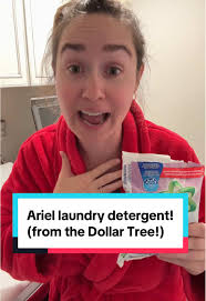 Ariel Laundry Detergent Laundry Lady