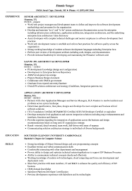 architect / developer resume samples