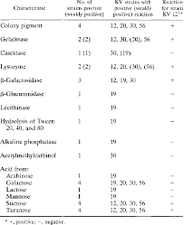 Image result for Staphylococcus Saprophyticus