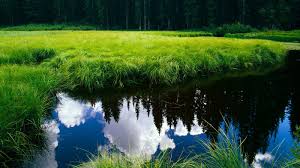 Free Download Best Wallpapers Hd Best Nature Wallpapers Hd 1600x900 For Your Desktop Mobile Tablet Explore 50 Best Hd Video Wallpaper Hd Wallpaper Nature Best Hd Wallpapers 1080p Best Free Wallpaper We have 77+ amazing background pictures carefully picked by our community. wallpapersafari