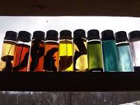 Lecture on the Lawn: Mushroom Dyes 101