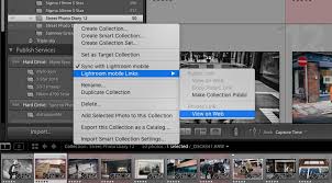I wish to make a version of an image that looks different from the original. Caption And Title Your Images Using Lightroom On The Web Thomas Fitzgerald Photography
