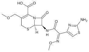 Check spelling or type a new query. Cefpodoxime Wikidoc