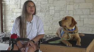 In arkansas, the definition of an esa is a dog or other animal, which provides therapeutic benefits to a person with a mental or emotional disability. Midland Woman Brings Home Her First Service Dog 5newsonline Com