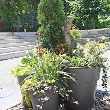 Tous les choix sont dans la nature pour planter dans vos grands pots de fleurs. Arbustes Et Vivaces En Pot Comment Faire Je Jardine