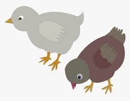 Maybe you would like to learn more about one of these? Gambar Sketsa Anak Ayam Hd Png Download Transparent Png Image Pngitem