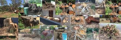 We have available a portable stump grinding machine. Tree Stump Grinding Services Directory Find Tree Stump Grinding Services Stump Grinder Finder