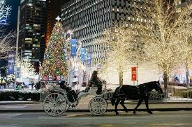 Scenes From The Tree Lighting Ceremony At Campus Martius Park Detroit Holiday Lights Holiday Tours