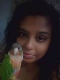 A group where we all pretend to be birbs