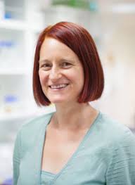 6 May 2016, Study into vitamin C's effectiveness in treating intensive care  patients, News