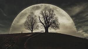 Van de graaff has stated that he was inspired to pursue his lifelong dream and recreate a vintage. Moon Mond Nacht Kostenloses Foto Auf Pixabay