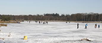 Schaatskaart 2021 waar kun je schaatsen in de provincie utrecht? Schaatsen Natuurfoto S Van Jan Katsman
