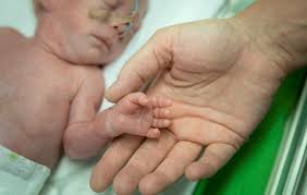 Az irodalomtörténet ezt a művet tartja az első detektívtörténetnek. Itthon Kettos Gyilkossag Szegeden Ezt A Ferfit Gyanusitja A Rendorseg A Lakossag Segitseget Is Kerik Hvg Hu