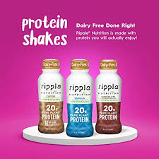 The size and its colors make it a slick, fun, and. Ripple Vegan Protein Shake Chocolate 20g Nutritious Plant Based Pea Protein In Ready To Drink Bottles Non Gmo Non Dairy Soy Free Gluten Free Lactose Free Shelf Stable 12 Fl Oz 12 Pack Grocery Gourmet Food Amazon Com