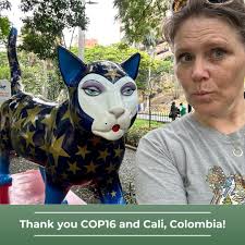 CBI's Robin Jones- Executive Director, Dr. Alexandra Syphard- Senior  Research Scientist, and Karl Peet- Senior Advisor, Global Strategy, spent  the past two weeks participating in the 16th Conference of the Parties to