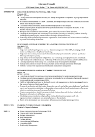 business planning & strategy resume