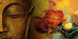 Remembering Freedom Mindfulness Meditation Retreat