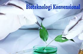 Pengertian Bioteknologi Konvensional Dan Contohnya Di 2020 Bioteknologi Benih Buah