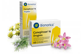 Anzeige Multimodale Phytotherapie Bei Blasenentzundung